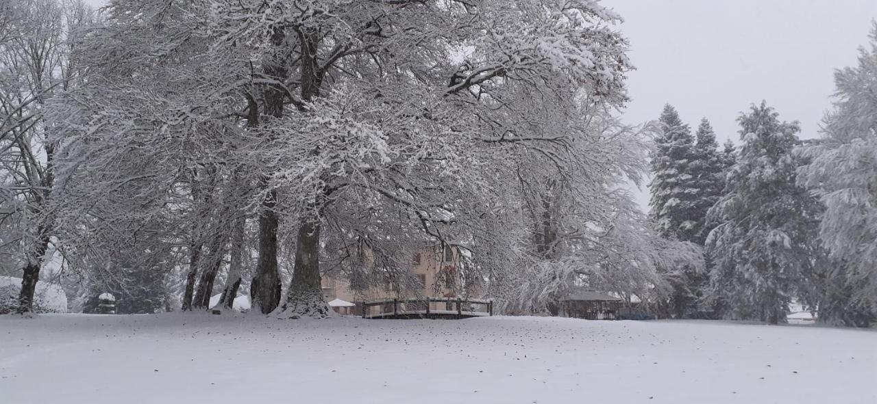Domaine De Marchal - Chambres Et Table D'Hotes Celles-Sur-Durolle Εξωτερικό φωτογραφία