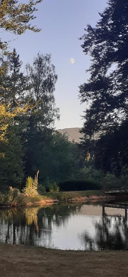 Domaine De Marchal - Chambres Et Table D'Hotes Celles-Sur-Durolle Εξωτερικό φωτογραφία
