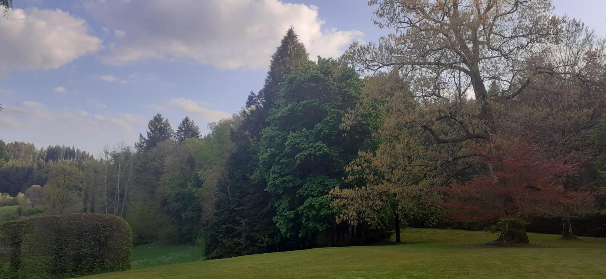 Domaine De Marchal - Chambres Et Table D'Hotes Celles-Sur-Durolle Εξωτερικό φωτογραφία
